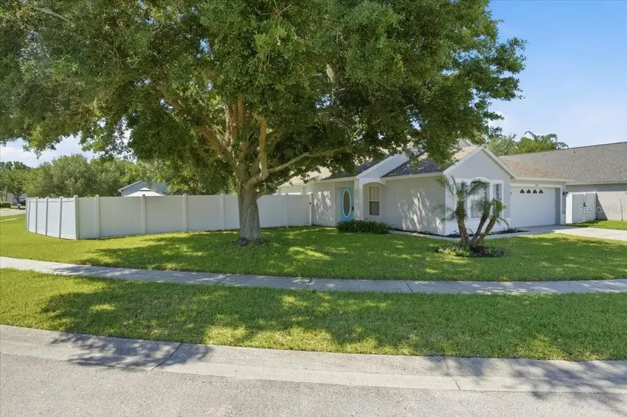 5207 New Savannah Circle, Wesley Chapel, FL 33545 - #2