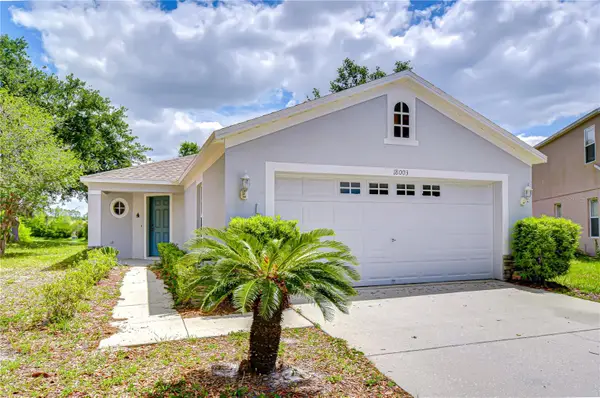 18003 Birdwater Drive, TAMPA, FL 33647