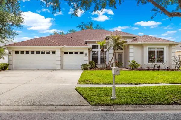 10254 Shadow Branch Drive, TAMPA, FL 33647