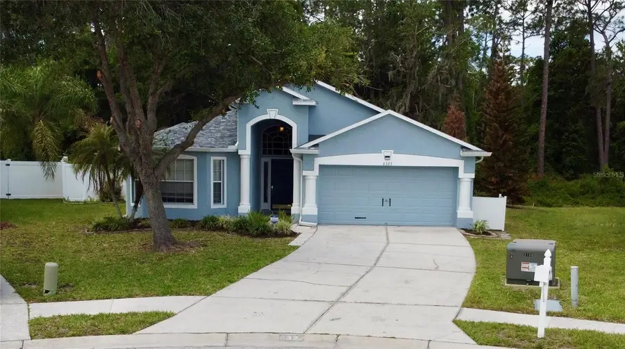 6323 Open Pasture Court, Wesley Chapel, FL 33545 - #3