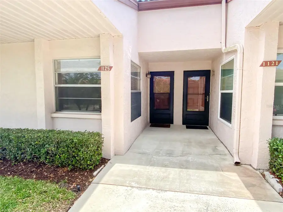 1125 Montrose Place, Dunedin, FL 34698 - #2