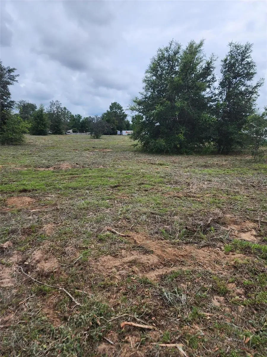 4975 E Triss Street, Inverness, FL 34452 - #2