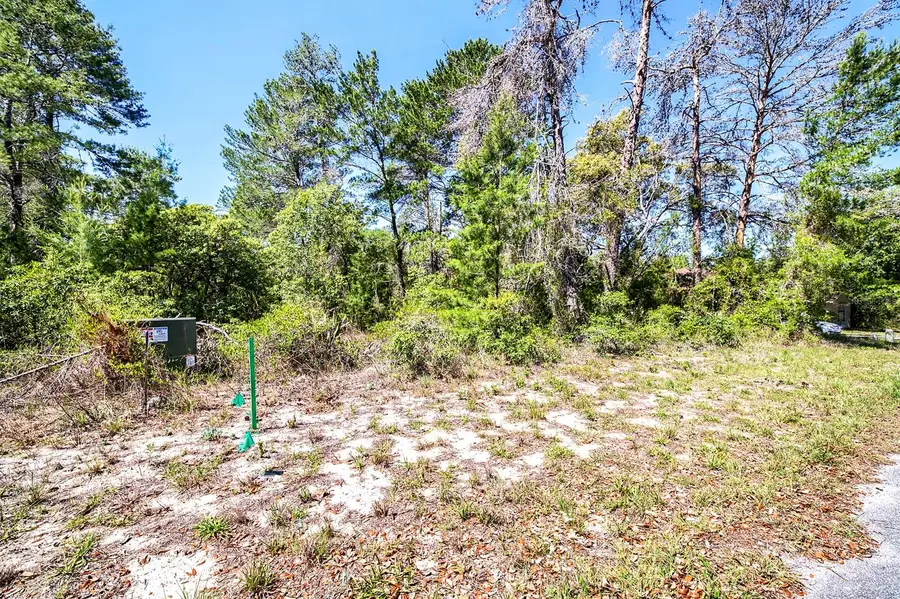 14 Heuchera Court E, Homosassa, FL 34446 - #3