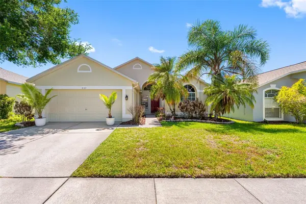 3137 Castle Rock Circle, LAND O LAKES, FL 34639