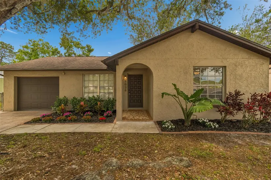 7038 Jenner Avenue, New Port Richey, FL 34655 - #2