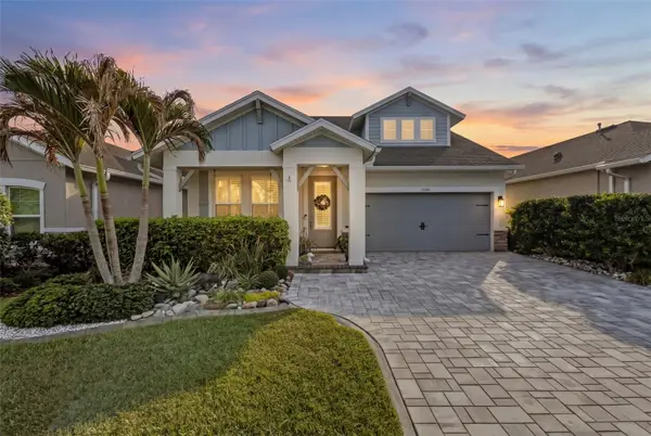 15166 Renaissance Avenue, ODESSA, FL 33556