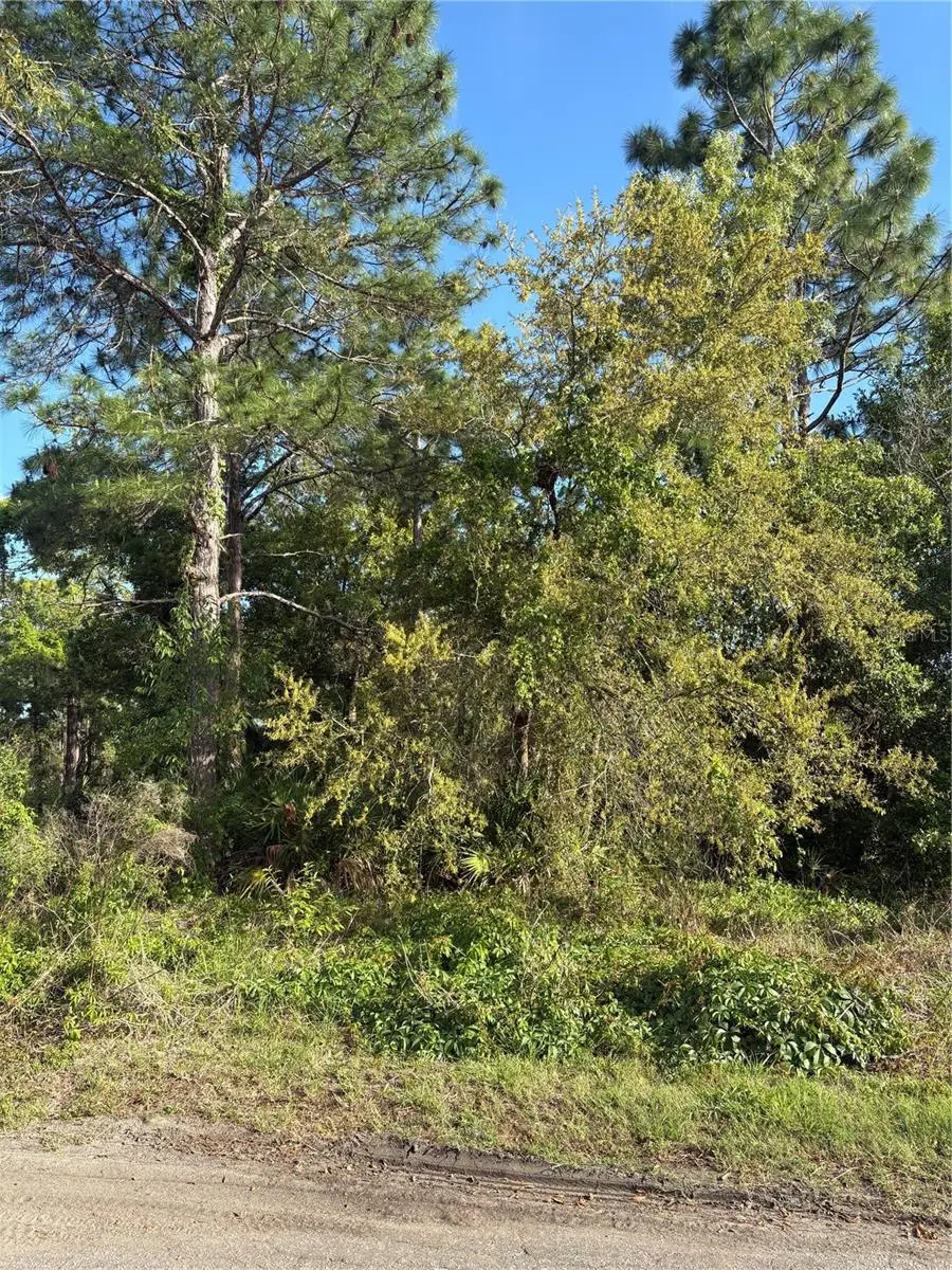 21 Sweetbay Court, Homosassa, FL 34446 - #3