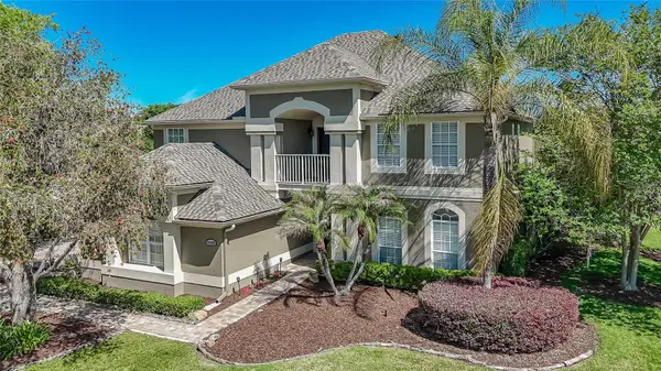 10408 Riverburn Drive, TAMPA, FL 33647