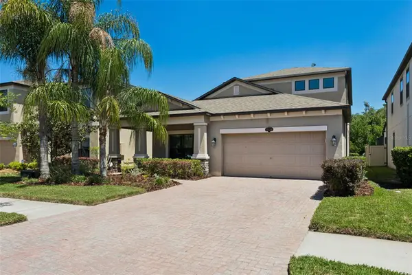 19546 Whispering Brook Drive, TAMPA, FL 33647