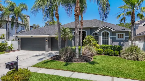 12919 Framingham Court, TAMPA, FL 33626