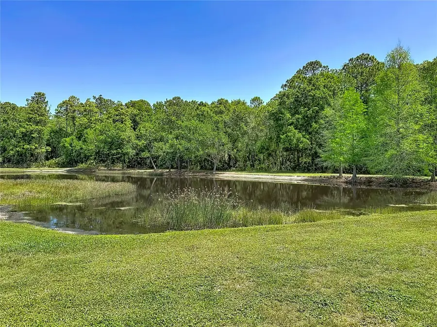 12919 Framingham Court, Tampa, FL 33626 - #3