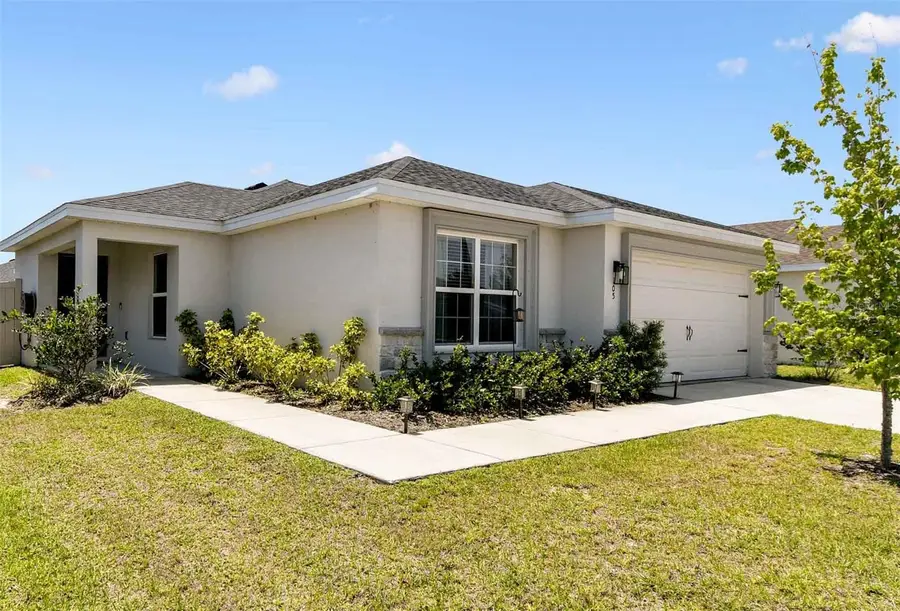 105 Blue Alice Spring Court, Ruskin, FL 33570 - #2