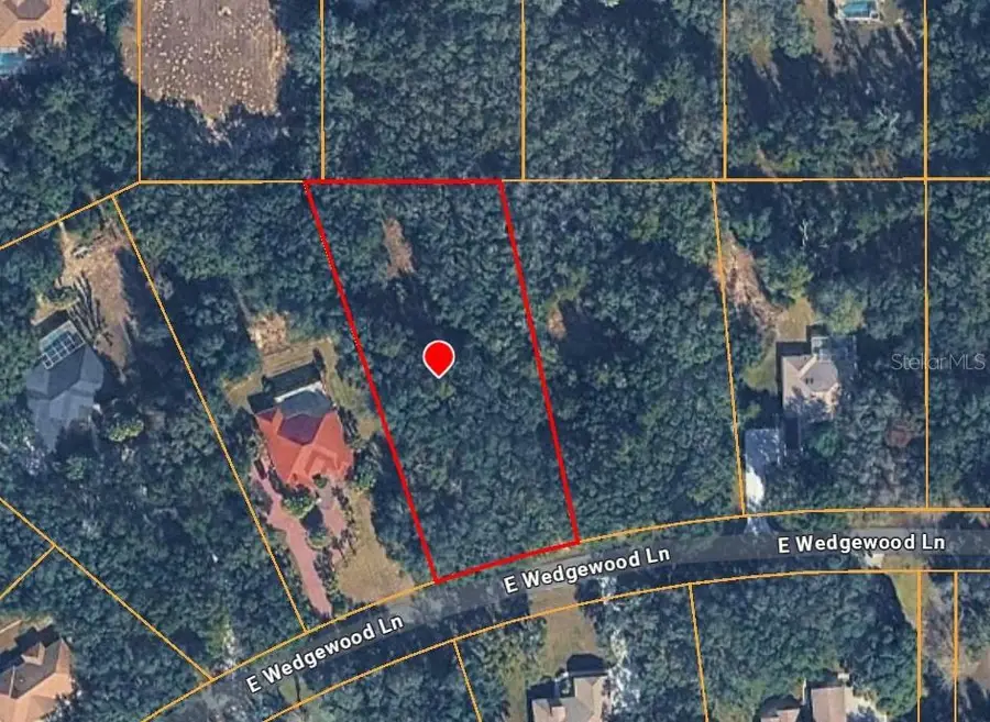 1449 E Wedgewood Lane, Hernando, FL 34442 - #3