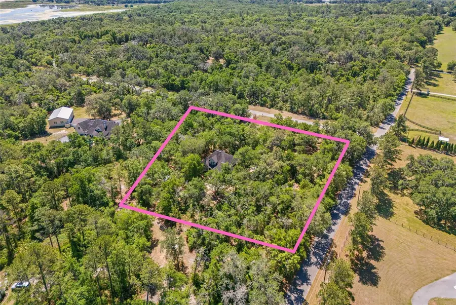 23305 June Bug Trail, Brooksville, FL 34602 - #3