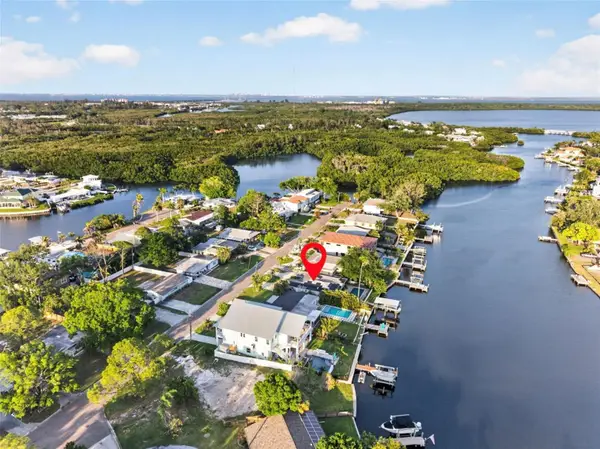 316 89th Avenue Ne, ST PETERSBURG, FL 33702