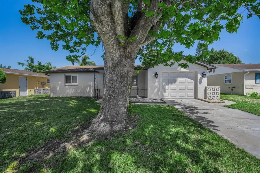 1184 Chelsea Lane, Holiday, FL 34691 - #2