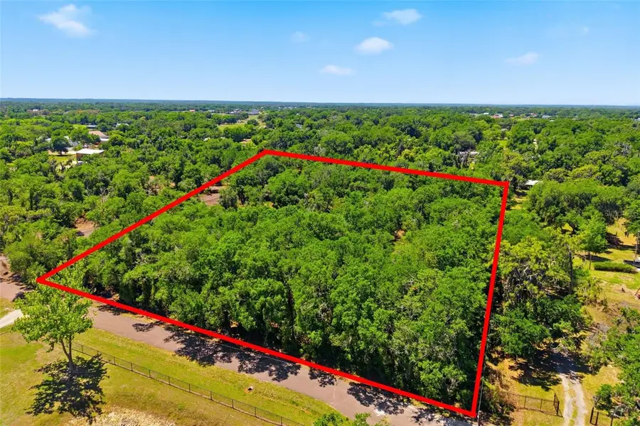19084 Red Bird Lane #LOT 5, Lithia, FL 33547 - #3