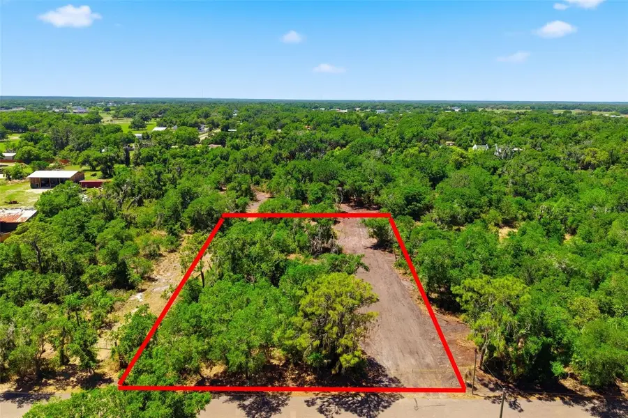 19084 Red Bird Lane #LOT 1, Lithia, FL 33547 - #3