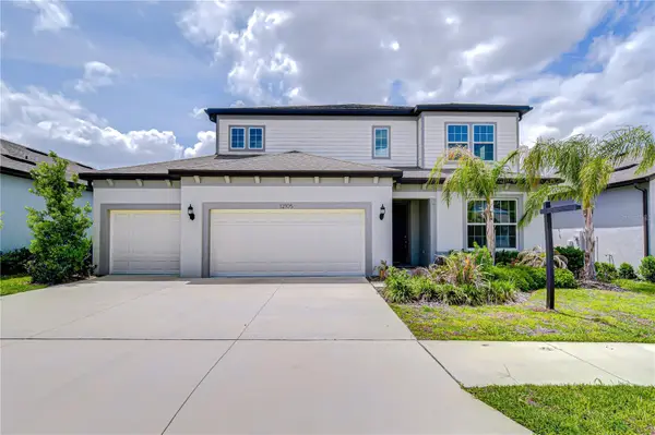 12105 Orchid Ash Street, RIVERVIEW, FL 33579
