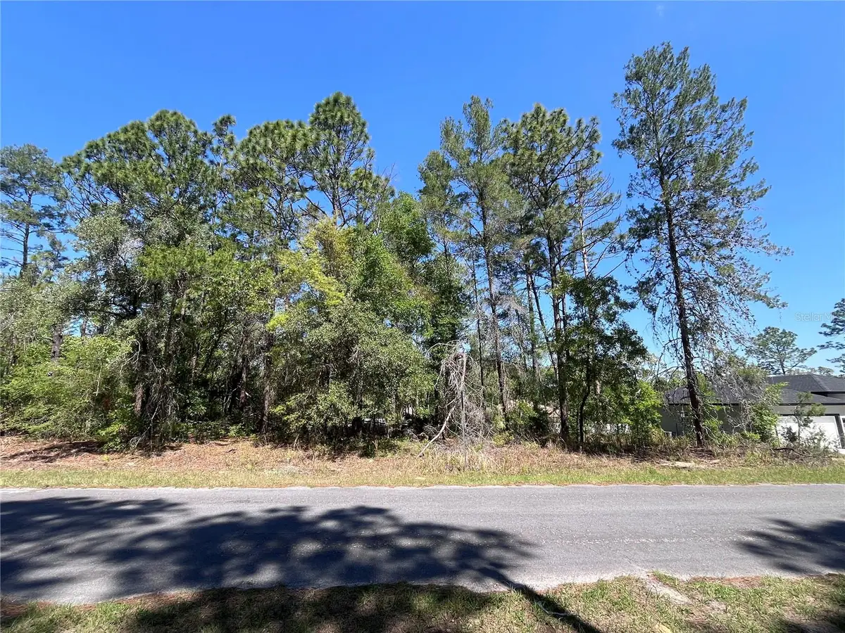 8000 N Pocono Drive, Citrus Springs, FL 34434 - #1