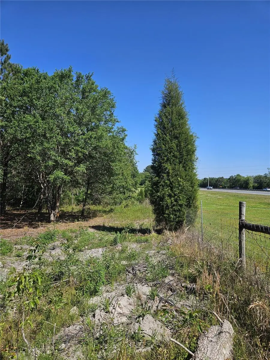 000 SW Mixson Road, Lake City, FL 32024 - #2