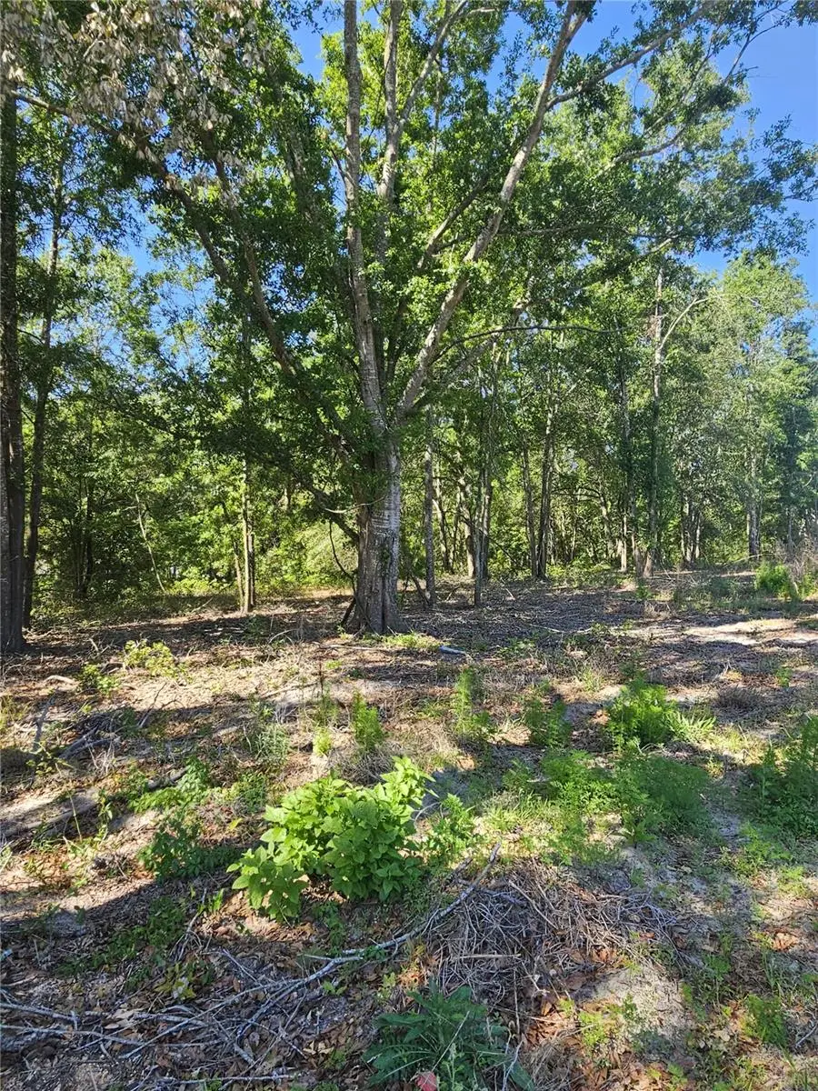 000 SW Mixson Road, Lake City, FL 32024 - #3
