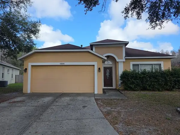 10310 Goldenbrook Way, TAMPA, FL 33647