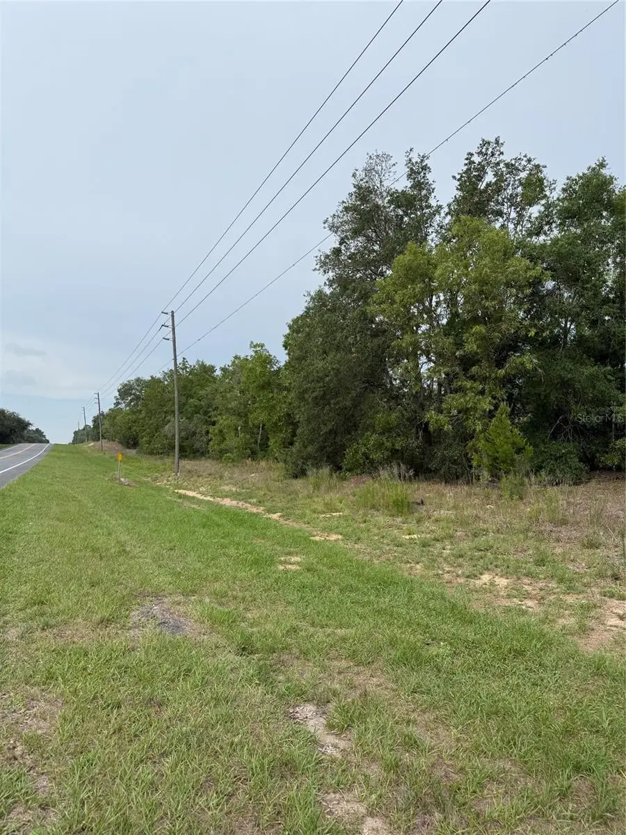 11656 S Florida Avenue, Floral City, FL 34436 - #3