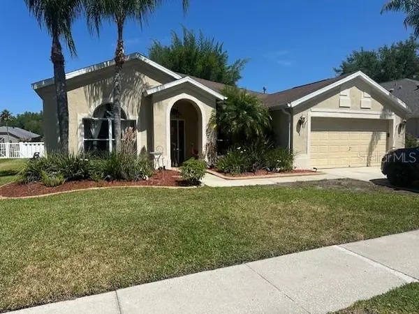 19103 Wind Dancer Street, LUTZ, FL 33558
