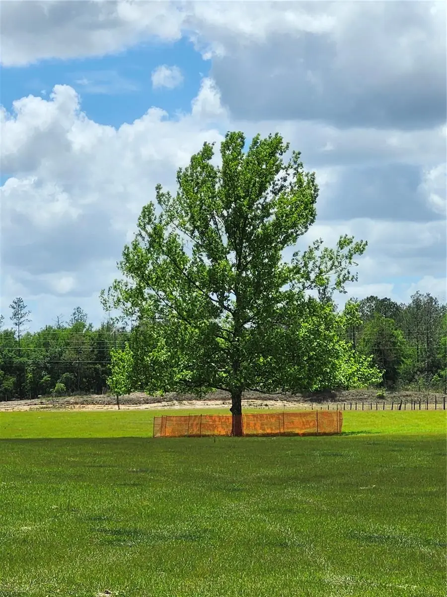 0 Christian Road #Lot 1, Dade City, FL 33523 - #2