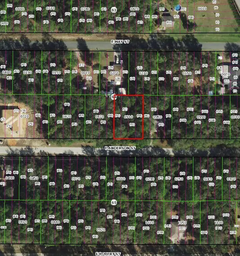 3301 E Anderson Street, Inverness, FL 34453 - #2