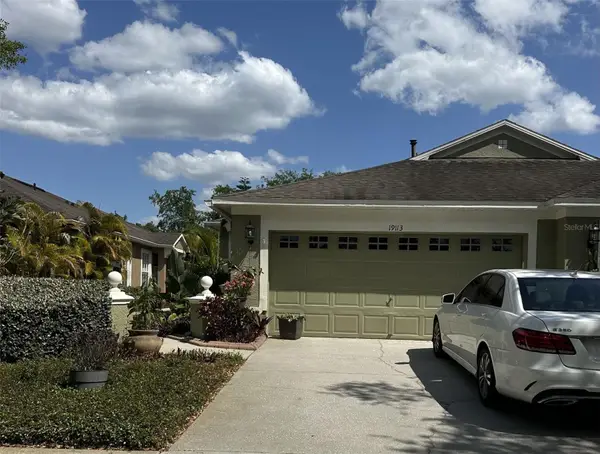 19113 Doves Landing Drive, TAMPA, FL 33647