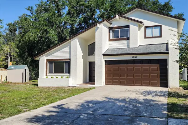 16169 Gardendale Drive, TAMPA, FL 33624
