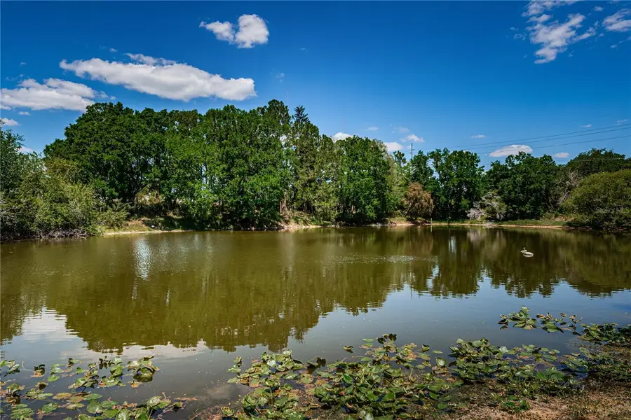 6804 Seafairer Drive, Tampa, FL 33615 - #3