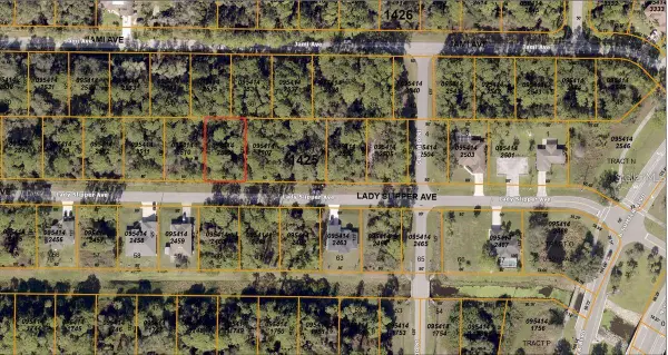 Lady Slipper Avenue, NORTH PORT, FL 34291