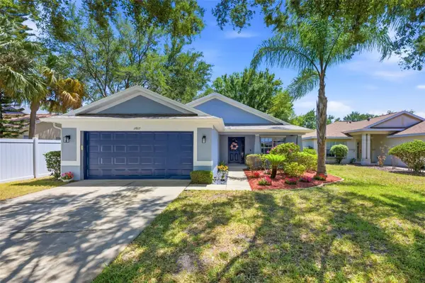 11013 Laurel Brook Court, RIVERVIEW, FL 33569
