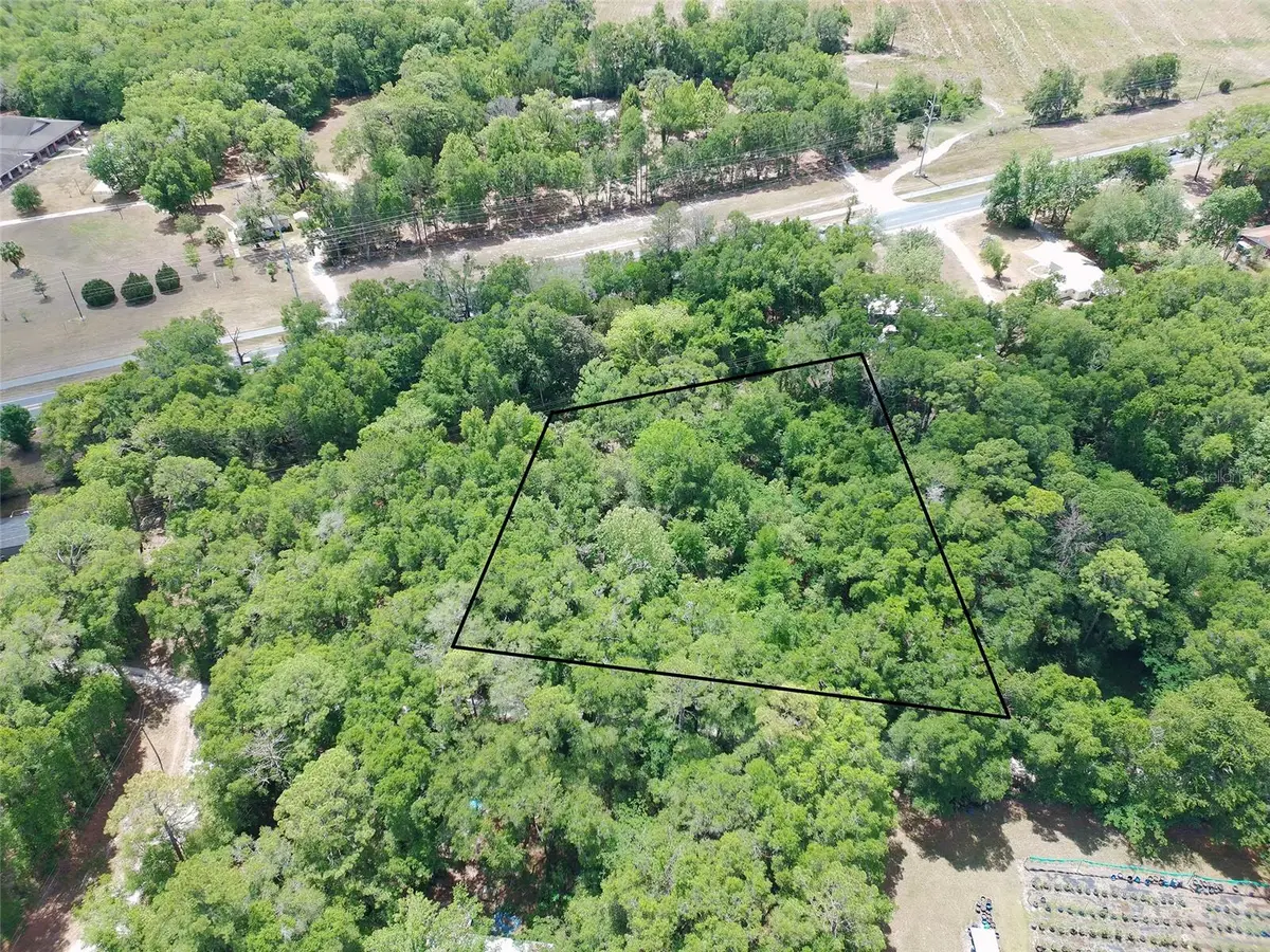 9820 SW Archer Road, Gainesville, FL 32608 - #1