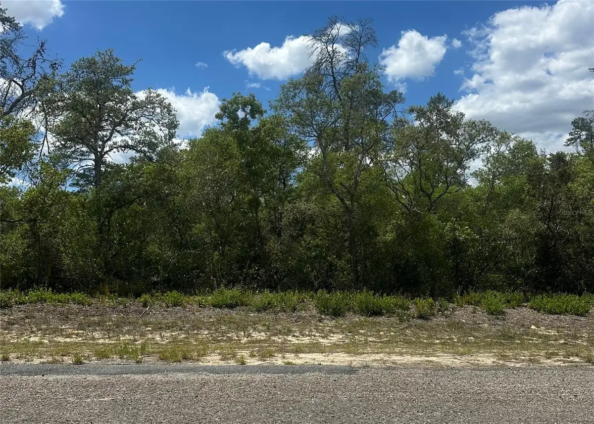 8036 N Wayside Avenue, Dunnellon, FL 34433 - #1