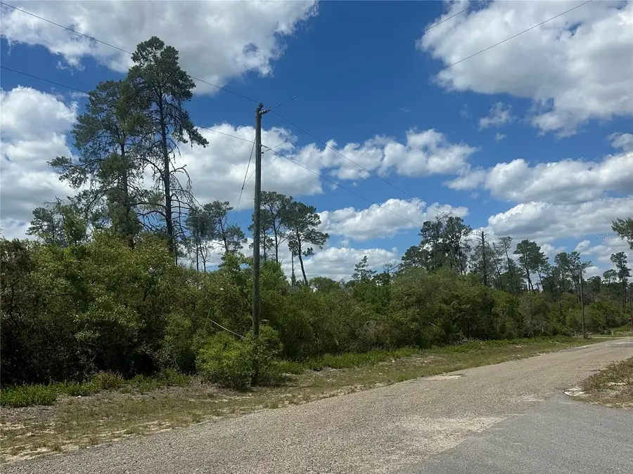 8036 N Wayside Avenue, Dunnellon, FL 34433 - #3