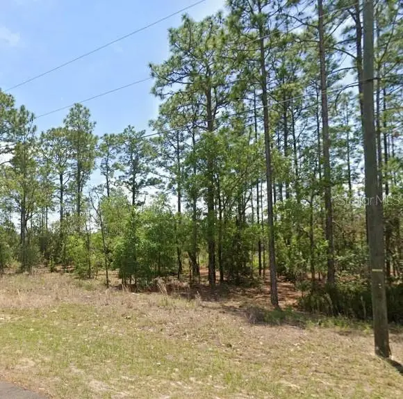 532 W Glenhaven Drive, Citrus Springs, FL 34434 - #3