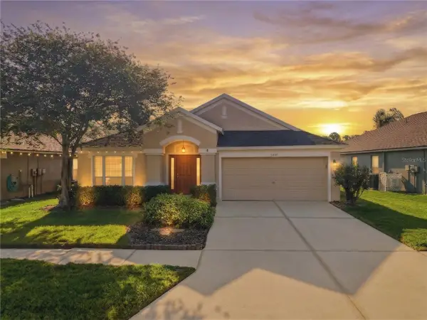 5400 Algerine Place, WESLEY CHAPEL, FL 33544