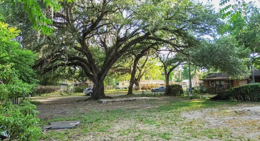 38319 Stebbins Avenue, Zephyrhills, FL 33542 - #2