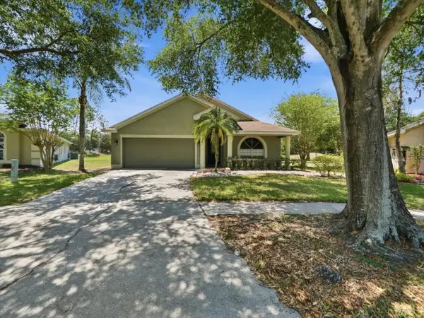 4528 Wild Plum Lane, LUTZ, FL 33558