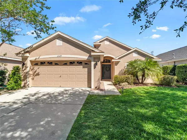 11529 Cypress Reserve Drive, TAMPA, FL 33626