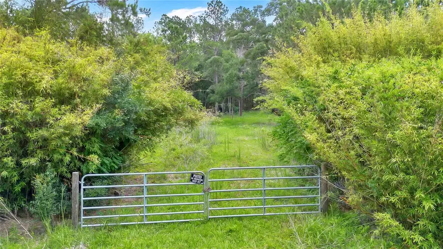 7831 NE 132nd Place, Citra, FL 32113 - #3