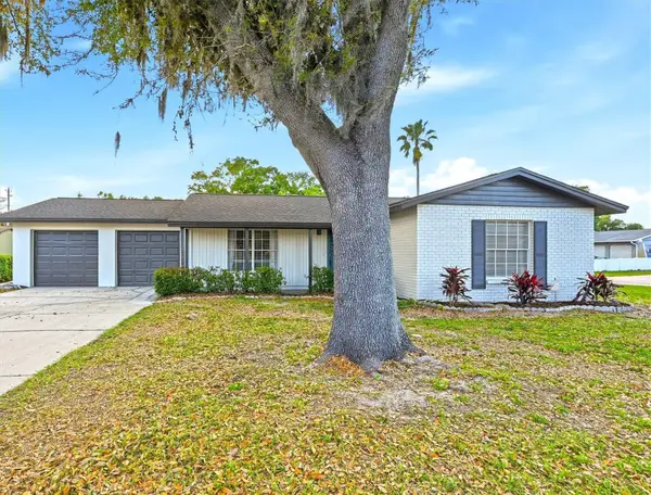 18320 Dolly Brook Lane, LUTZ, FL 33549