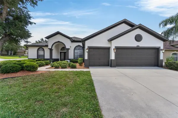 2309 Silver Trumpet Court, VALRICO, FL 33594