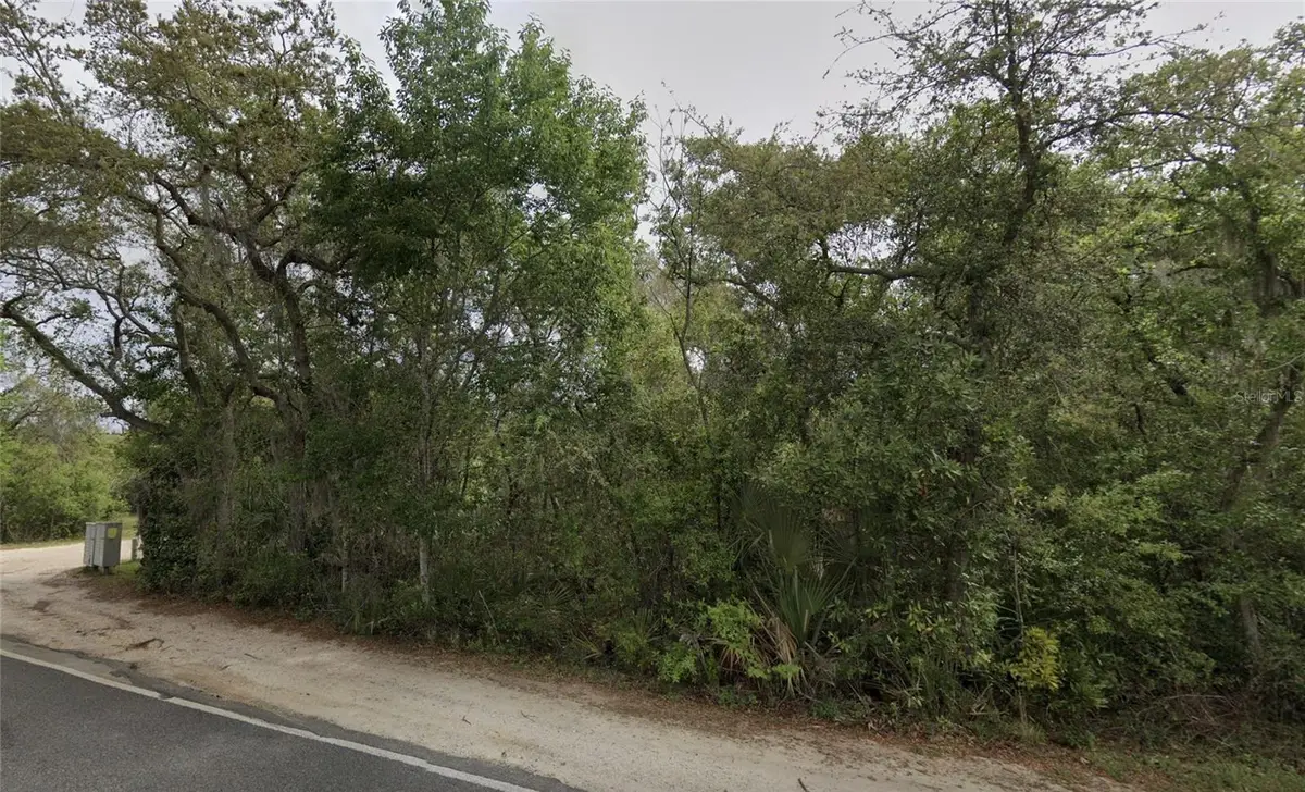 NE 154th Place, Fort McCoy, FL 32134 - #1