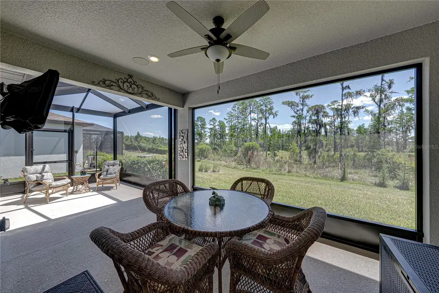 6041 Shorebird Branch, Land O Lakes, FL 34638 - #2