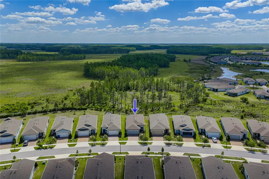 6041 Shorebird Branch, Land O Lakes, FL 34638 - #3